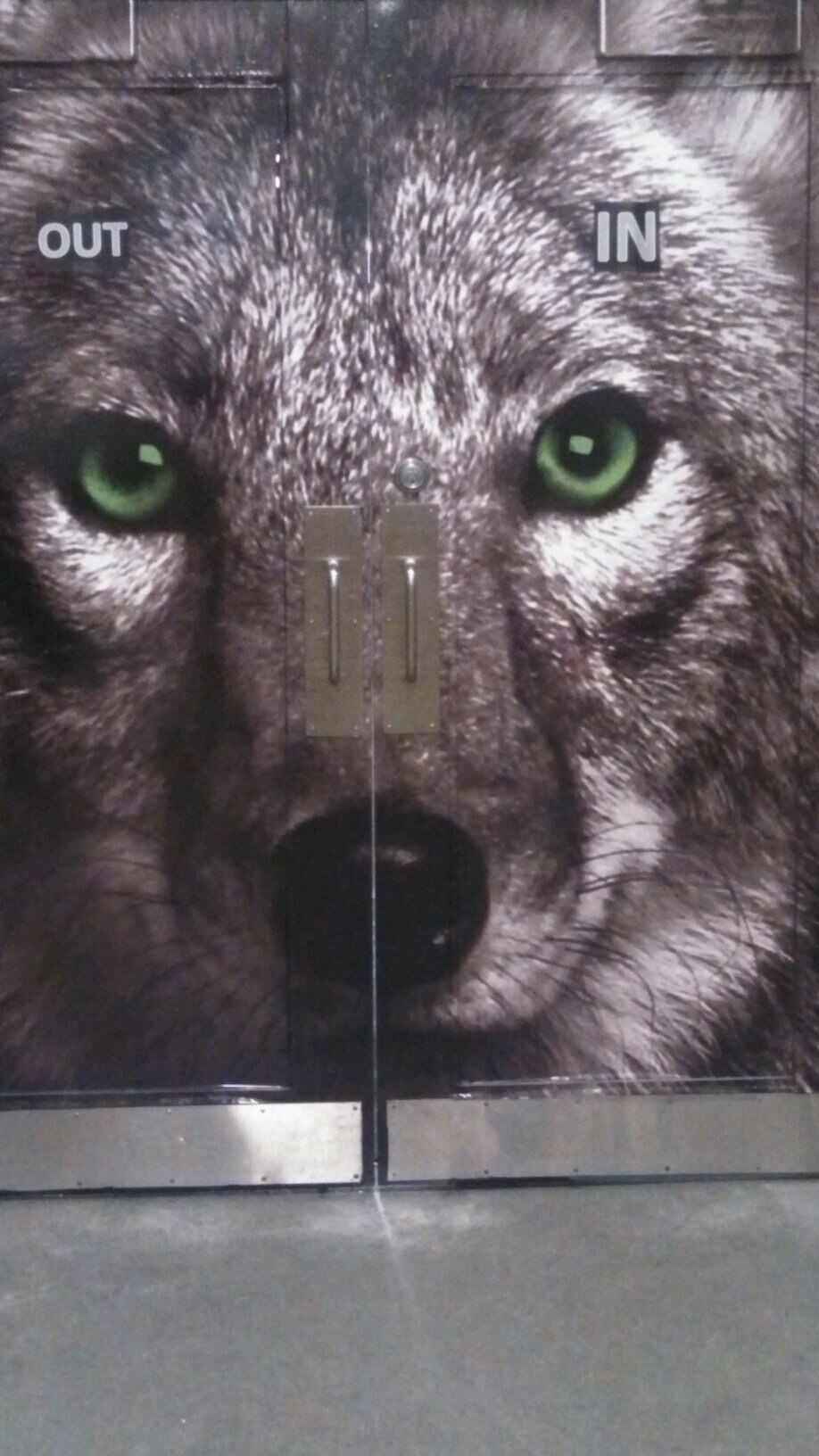 pucknbiscuit8's profile picture. 