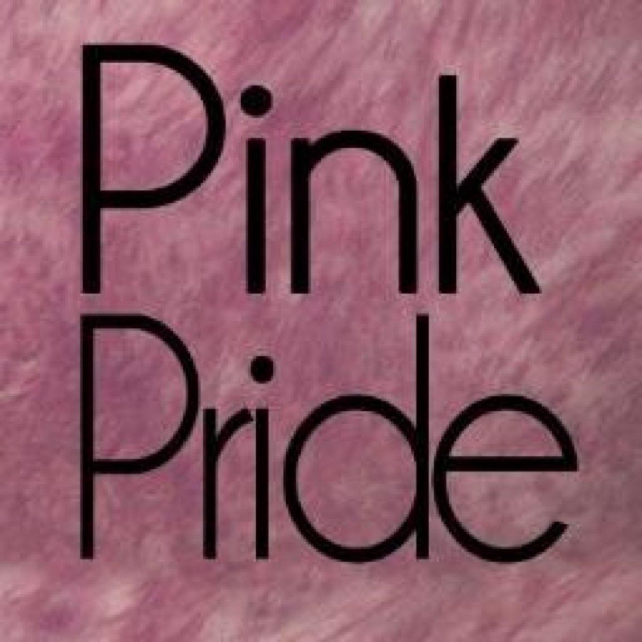 PinkPride is een organisatie opgericht voor en door leerlingen van het HML, met als doel om homoseksualiteit bespreekbaar te maken.

Gay zijn is oké!