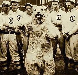 1908CubsMascot's profile picture. Twitter site of the ORIGINAL 1908 Cubs mascot who witnessed the Merkle boner.
