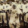 1908CubsMascot's profile picture. Twitter site of the ORIGINAL 1908 Cubs mascot who witnessed the Merkle boner.