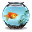 Ramiro Chacón Vega - @RamiroChaconV - Twitter