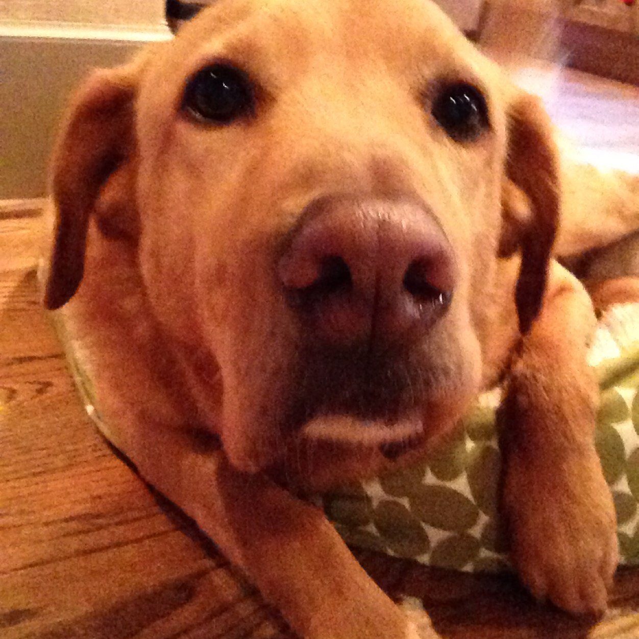 leesellers1984's profile picture. 