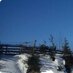 Ski Vosges Mobile (@skivosgesmobile) Twitter profile photo