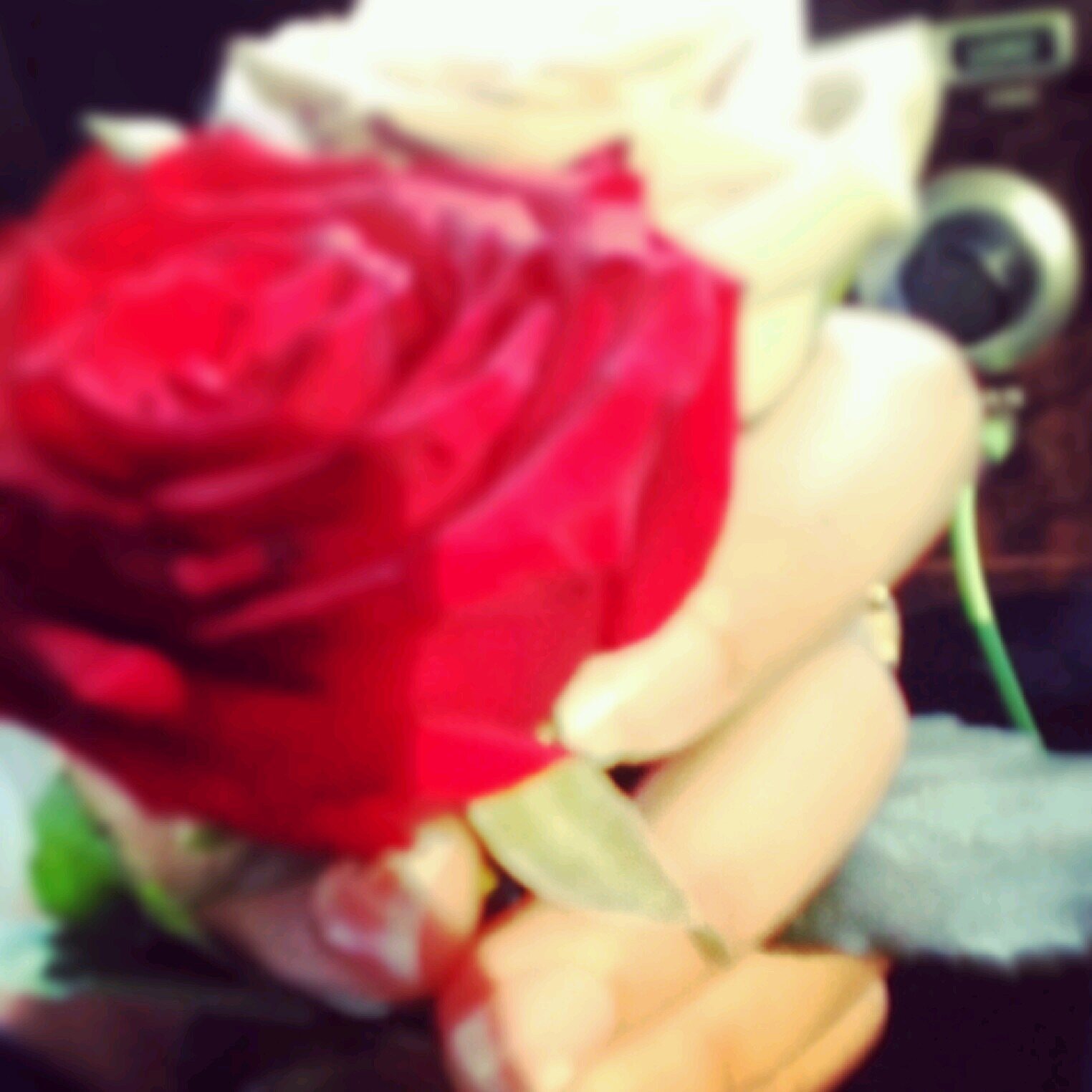 أنآقـۂ الشين .. رقـۂ الياء .. دلع الخاء .. وكبريآء التاء .. هكذا تكون (شيخـۂ) ♧