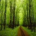 American Forests (@american_forest) Twitter profile photo