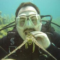 Bob Sharp (@scubasharps) 's Twitter Profile
