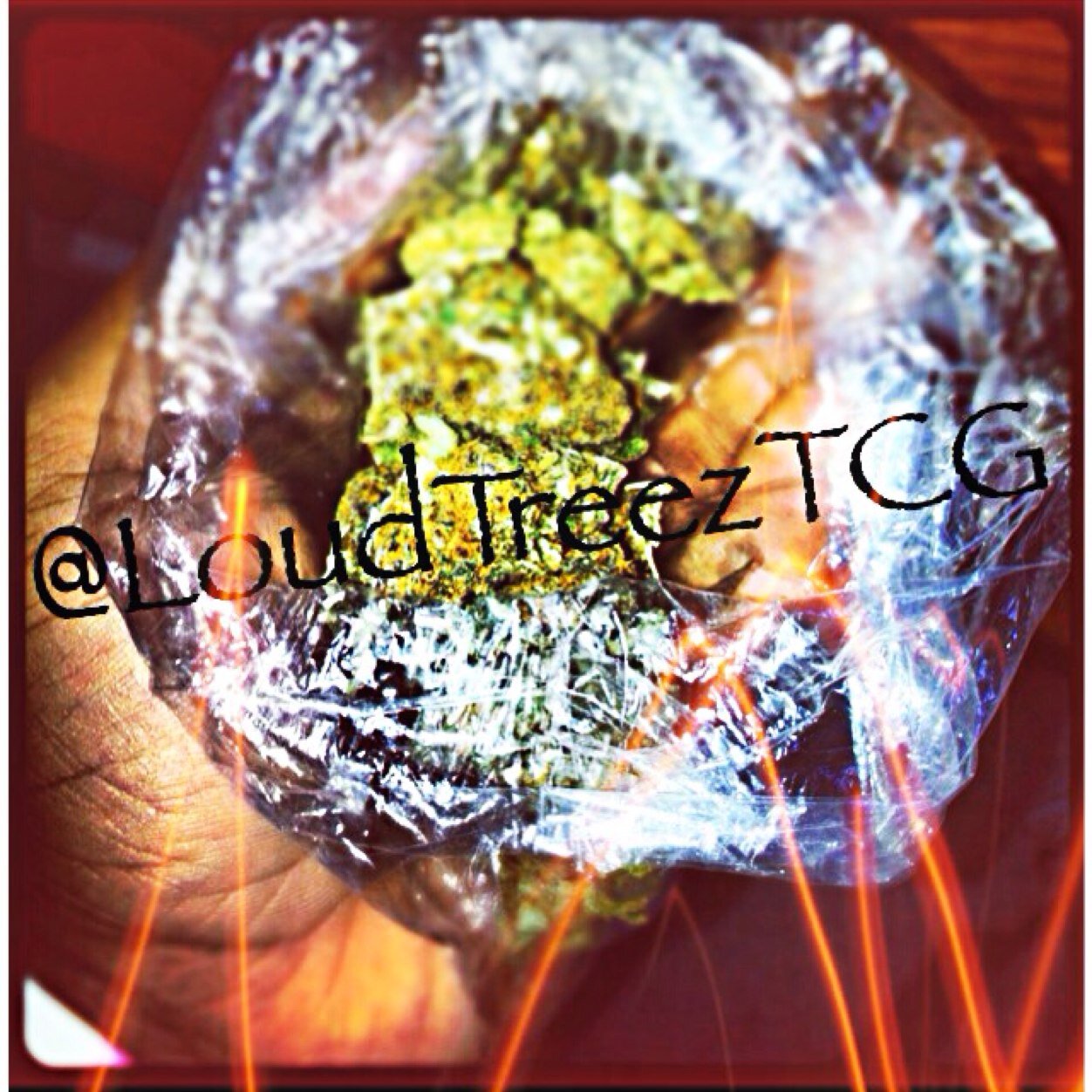 Tree City Vision
CONTACT us at TreeCityVision@gmail.com for Videos, Documentaries, v.blogs, and ALL things VISUAL!!
Est. 2008