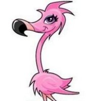 BKrigbaum (@bebarkho) 's Twitter Profile