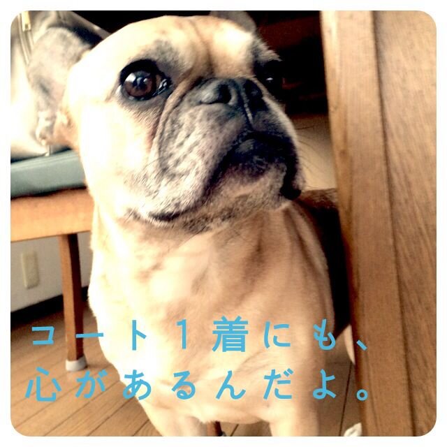 自宅療養中。全身が痛い。精神も。