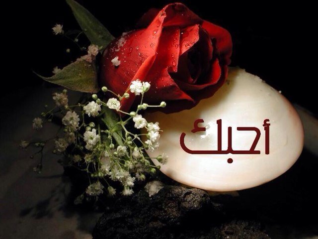 ﺎنت ﺎلعمر ﺎللي تمنيت ﺎعيشہ
