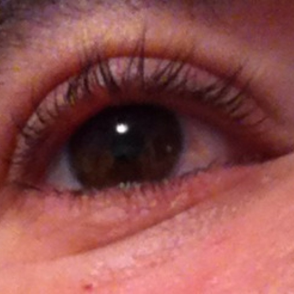 raiderhd_1's profile picture. Extremeño residente en Madrid. Farmacéutico-óptico.