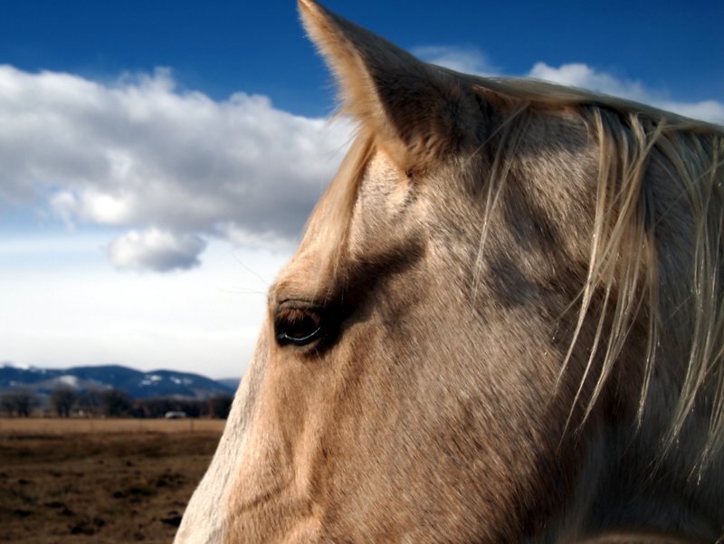 danacgrant's profile picture. 