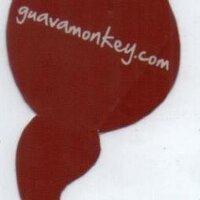 #guavamonkey (@guava_monkey) 's Twitter Profile