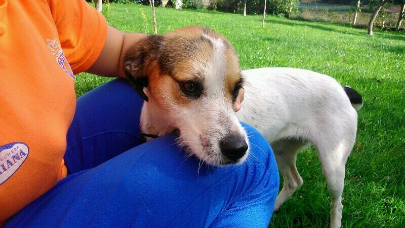 lidia2v's profile picture. 