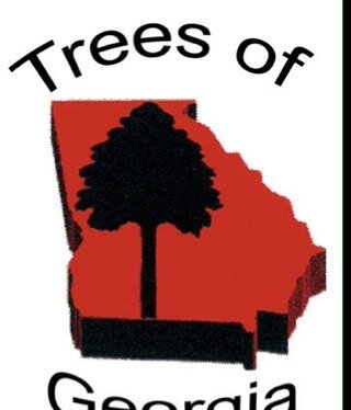 The Tree Removal Expert You Choose is Vital