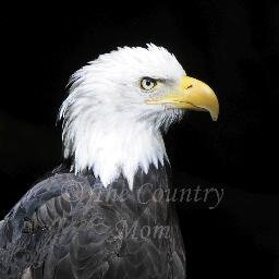 The_Country_Mom's profile picture. I’m a wife, mother, Christian, photographer, home cook, writer, animal lover, WSU Cougar, & a good old-fashioned country girl. Saddle up & join me for the ride!