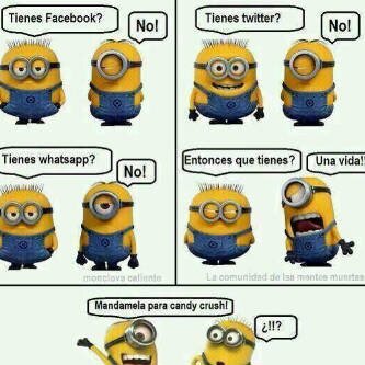 Gamer, Porner, Flojer, q mas