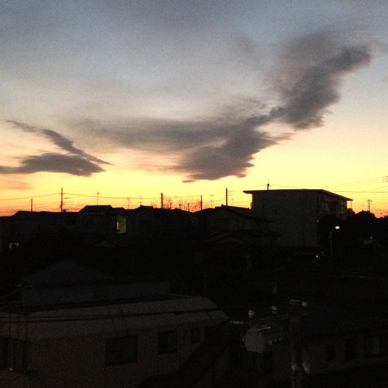 見つけ出して