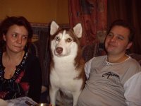 neeCessna's profile picture. - Ты же фотограф? - Да. - О, посоветуй, какую камеру лучше для инстаграмма брать, айфон или андроид?