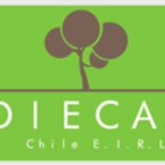 Diecam Chile Empresa de Servicios
Tala y poda de Arboles / Mantencion de Areas Verdes / Limpieza y Traslado de Palmeras