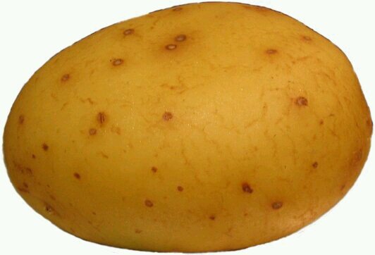 Potatos are awesome. JOIN THE TEAM OF POTATOES AND WE COULD RULE THE WORLD!!!!!!!