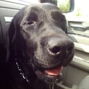 Max Brink - @MaxBrink_OL - Twitter