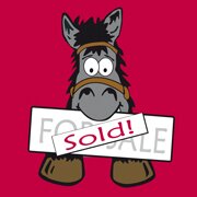 Paarden te koop en pony's te koop op Ruitersport marktplaats Equirodi Nederland