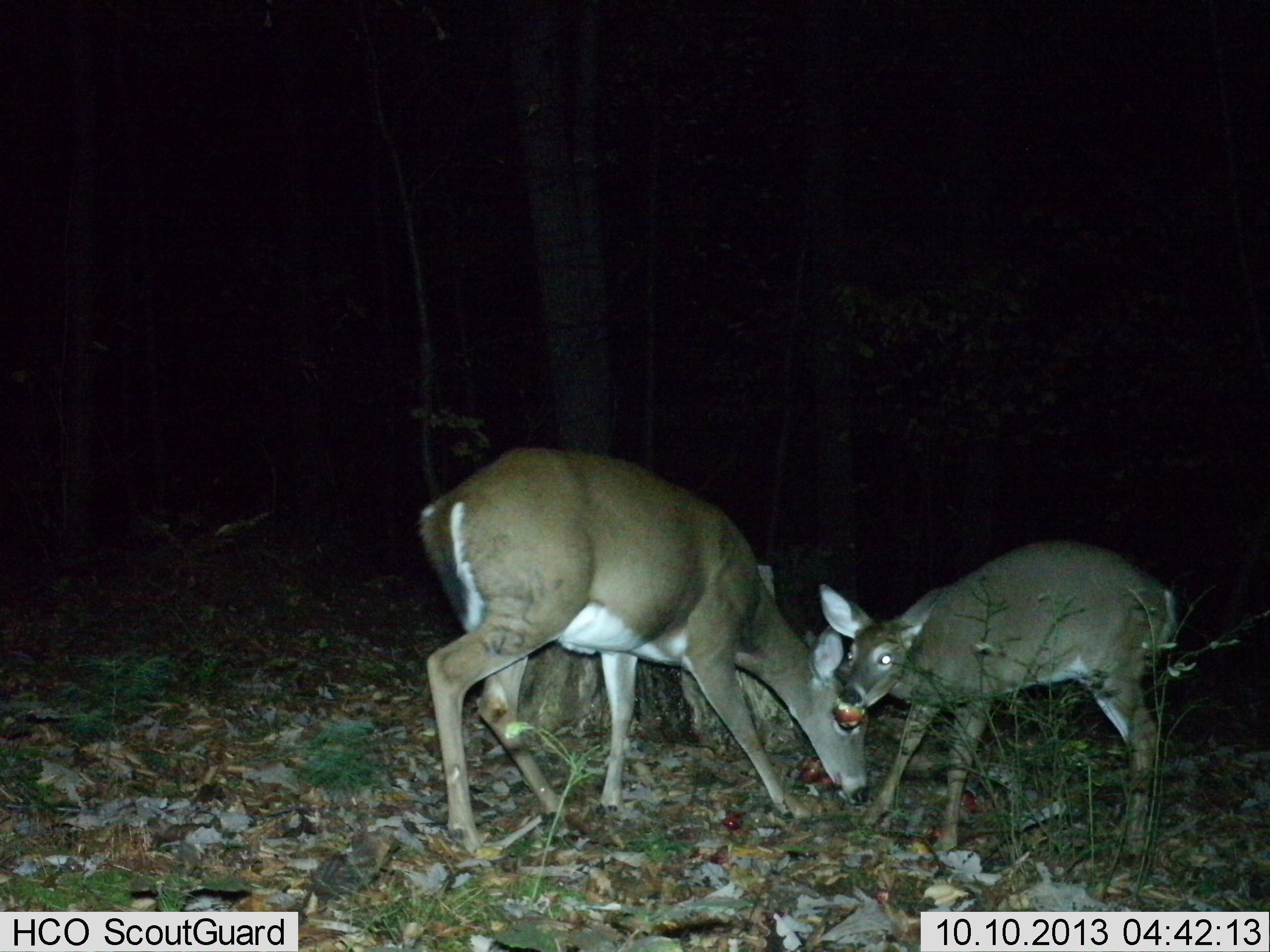 Jeremy Forster (JeremyForster69) Twitter