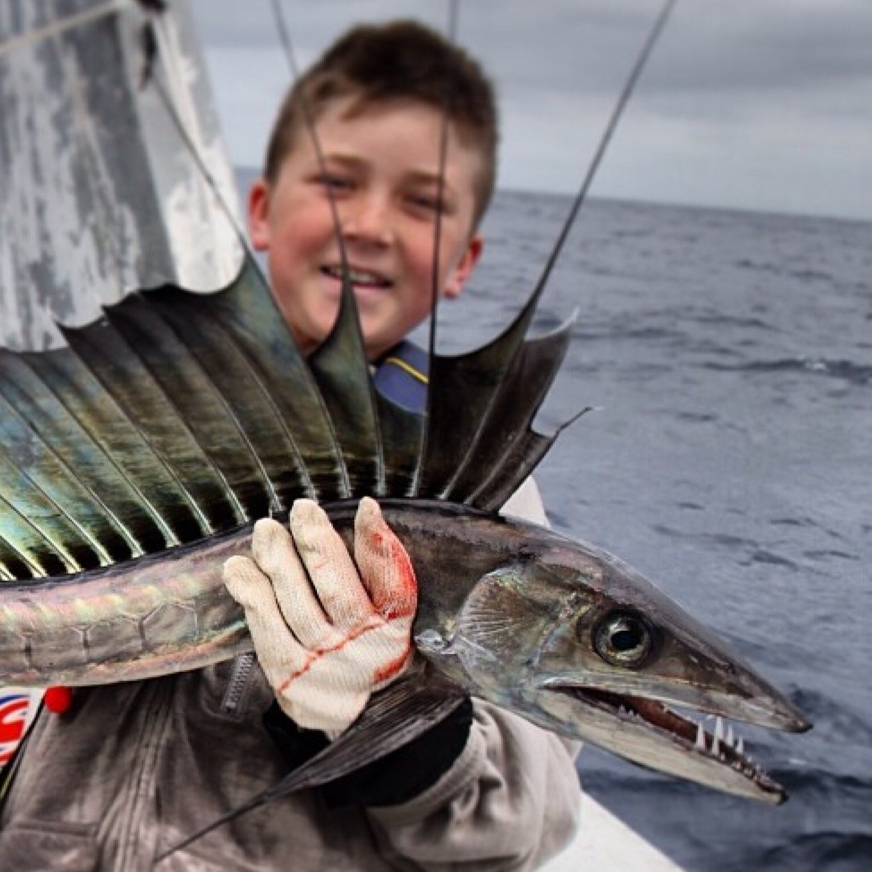 frankypuglisi12's profile picture. Loves fishing,molly,beach,wwe,motrbike riding and snapchat user is frank_iamsexy kik user is franky123465 instagram user is frank1212121 also LOVES sydney swans