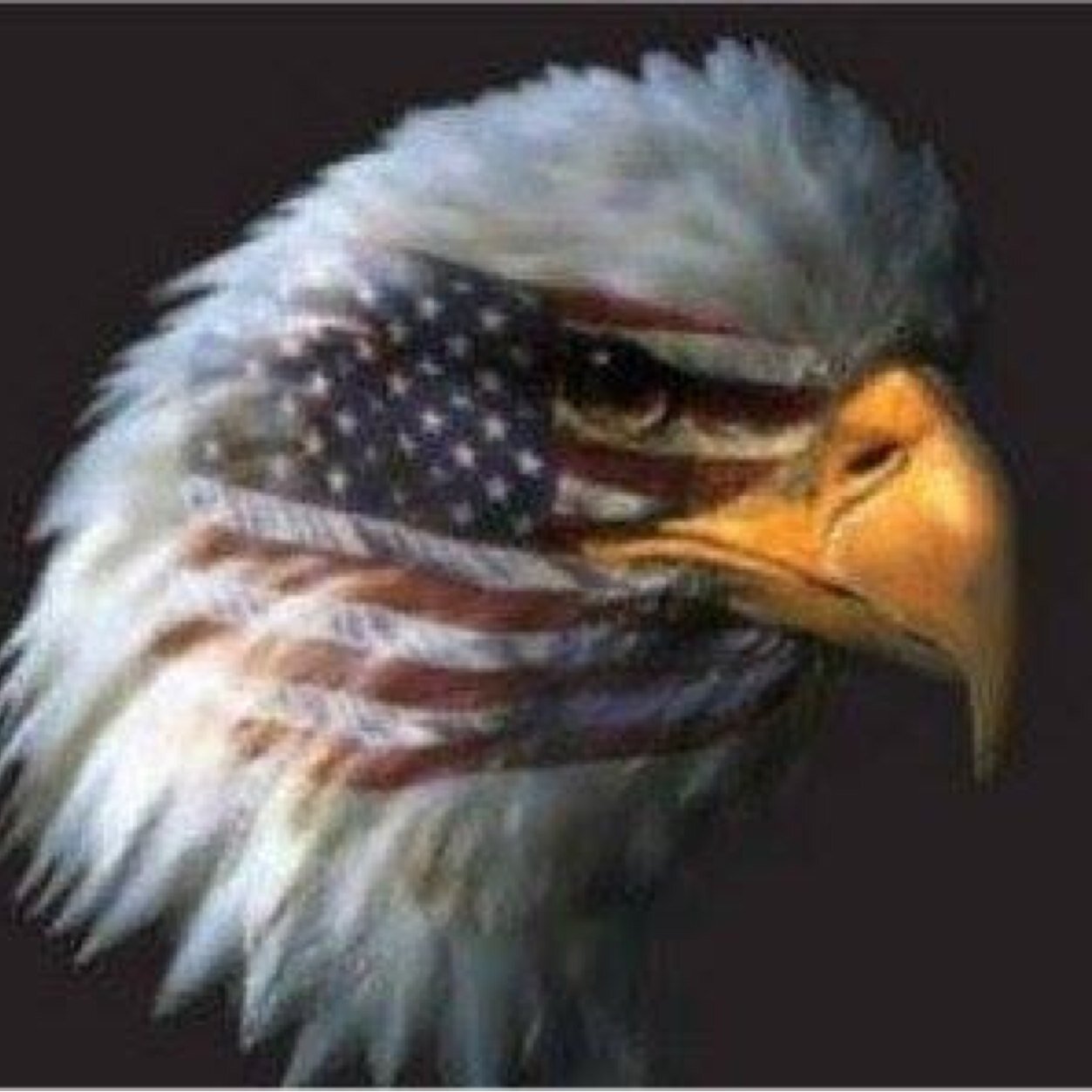 Christian, Conservative, Husband, and Father that loves God and Country.