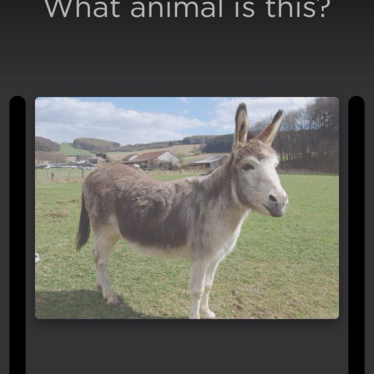 PinnyBuckets's profile picture. 