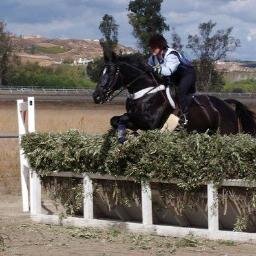 Full time desk jockey, part-time horse jockey