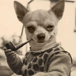 G2theAV's profile picture. Science and Critical Thinking advocate. Designer. Internet enthusiast. Ghetto Gangsta.