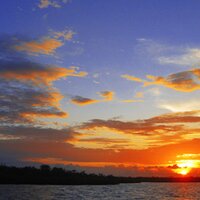 Steven Fox (@deepblueresort) 's Twitter Profile