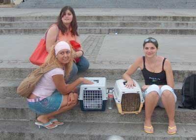 majjo525's profile picture. la diosa que llevo dentro hoy esta feliz!!!