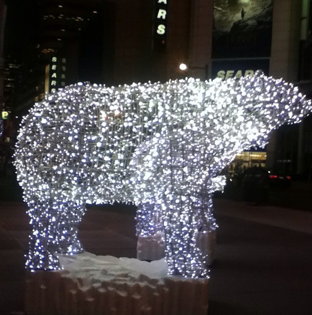 Phantomblisss's profile picture. 🐈🐸