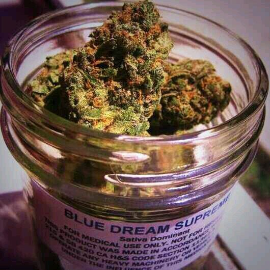 9203955433 hmu for dank/flame