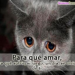 Vivir la vida sin complicaciones