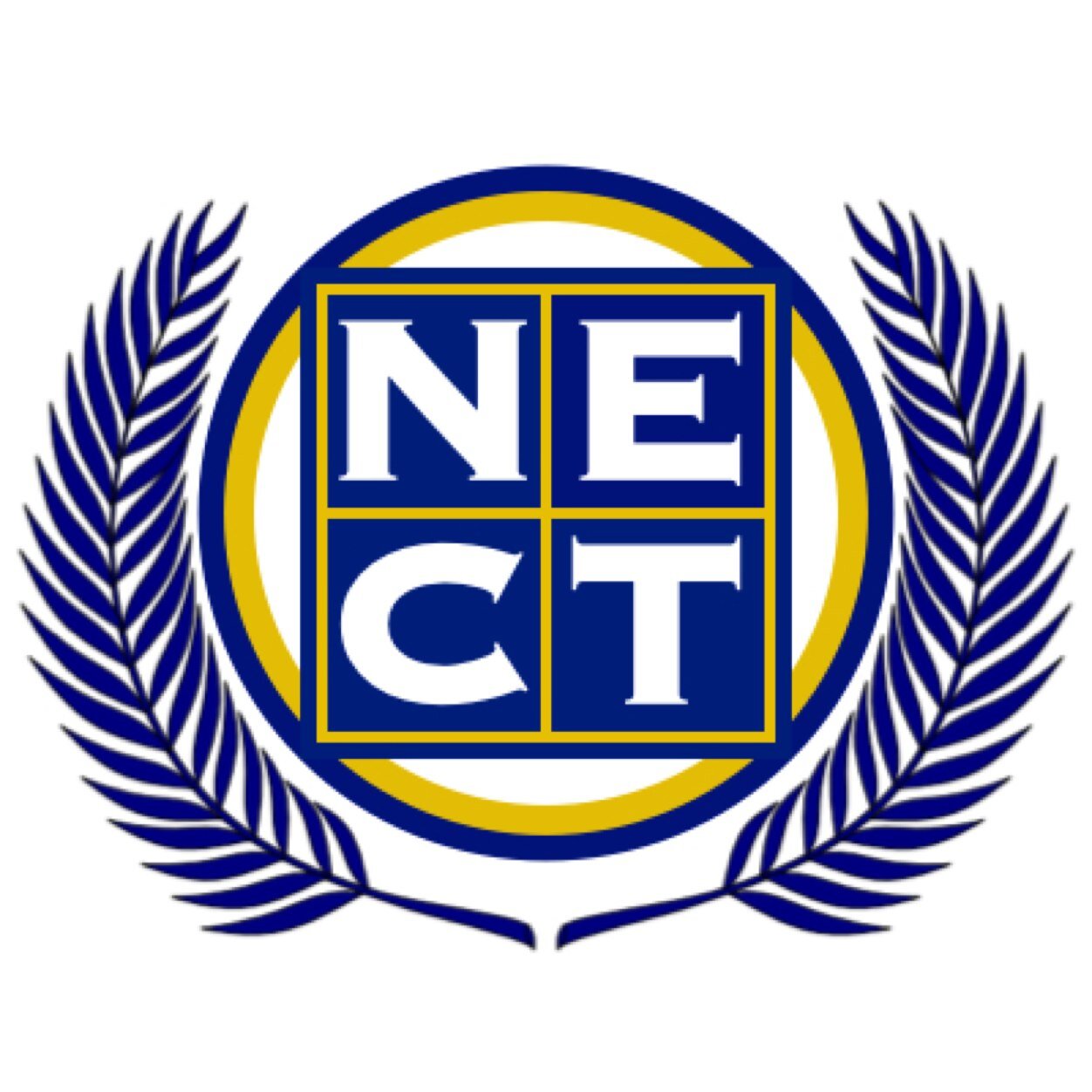 Professional Tutoring Made Affordable