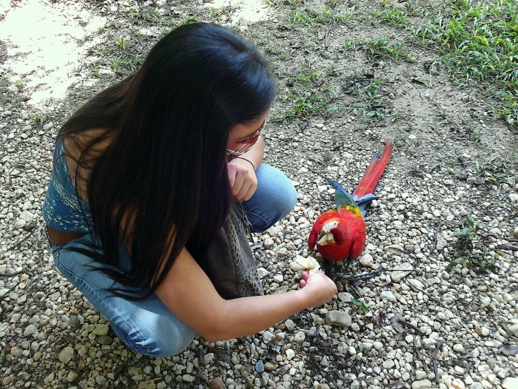 ¿Quién dijo que todo está perdido?
yo vengo a ofrecer mi corazón...