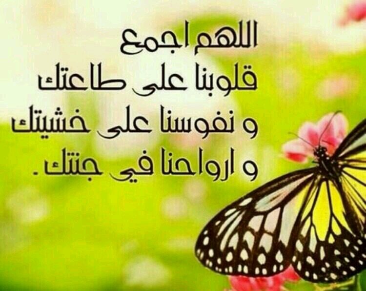 سبحان الله العظيم