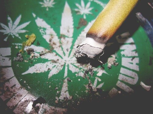 420_smokers's profile picture. Official 420 Smokers Club. Send us your pics!