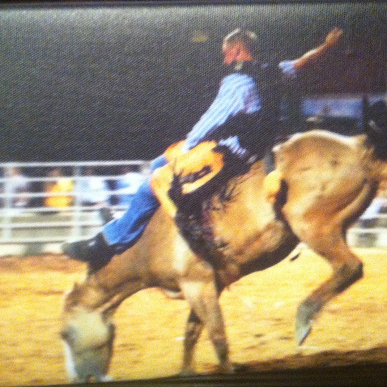 Bronc Rider Life