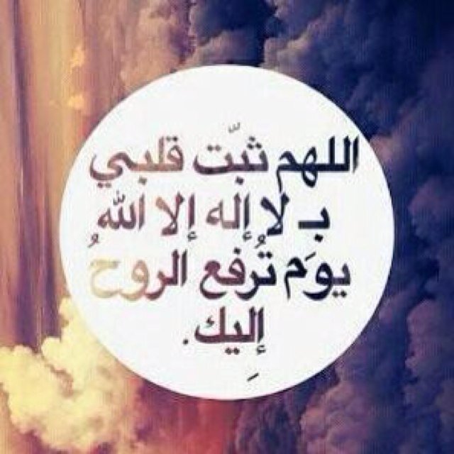 سبحان الله وبحمده سبحان الله العظيم ،استغفرالله،لا اله الا الله،الحمدلله،الله اكبر،اللهم صلي وسلم على سيدنا محمد