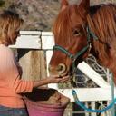 Gina Perrin - @heavenlyhorse - Twitter