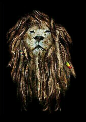 Youngest veteran /rebel with a cause /bully baby !/the herb it just my brain it preserve