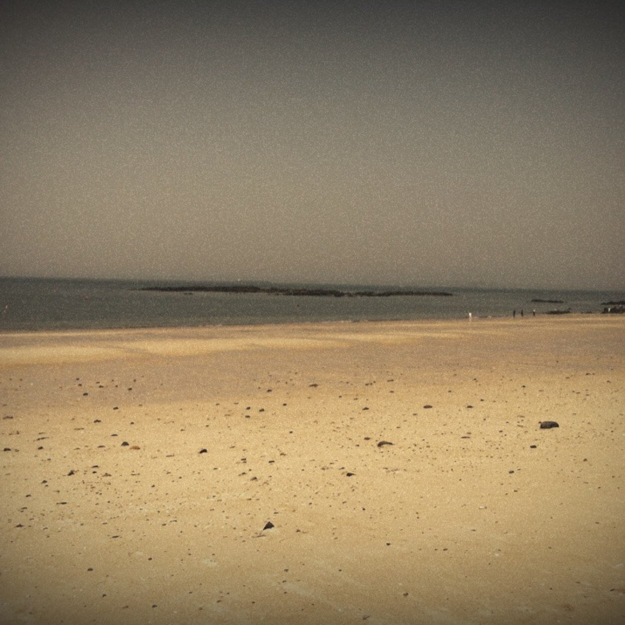 Comjaskim's profile picture. 갱뱅 / 쓰리섬 1기 모집 / 남 여 참여자 / 모집인원 : 남 5명 여 3명 / 정기모임(월 2회)-남2여1 일 경우 무조건 진행 / 약간의 회비 지참 / 밴드 모임 예정 / 가입 희망하는 분 팔로 먼저 /