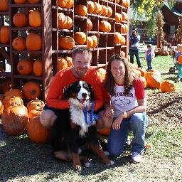 Proud Illinois grad, Cubs fan, Illini fan, sports fan