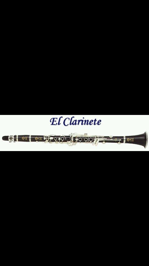 Se tocar el clarinete. La musica lo es todo. Clarinetista Enfurecido. Soy de la Banda Santa Cecilia