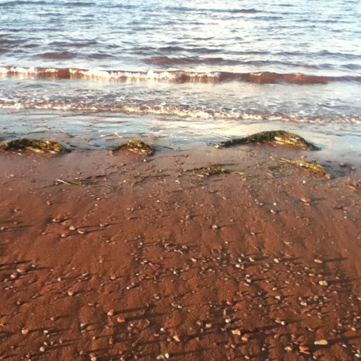 JUL_Jewel's profile picture. 